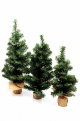 16 Novogodišnje jelke